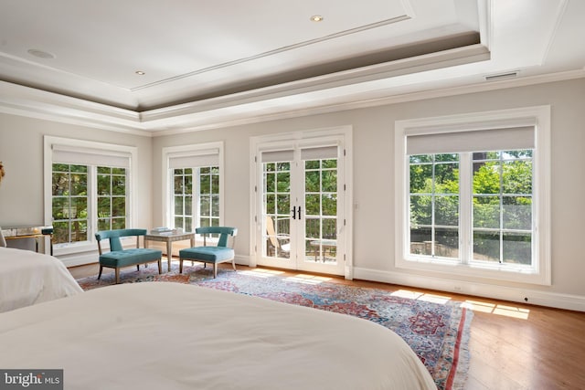 bedroom featuring a raised ceiling, access to exterior, and multiple windows