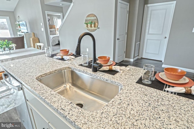 details with light stone counters, sink, and stainless steel dishwasher