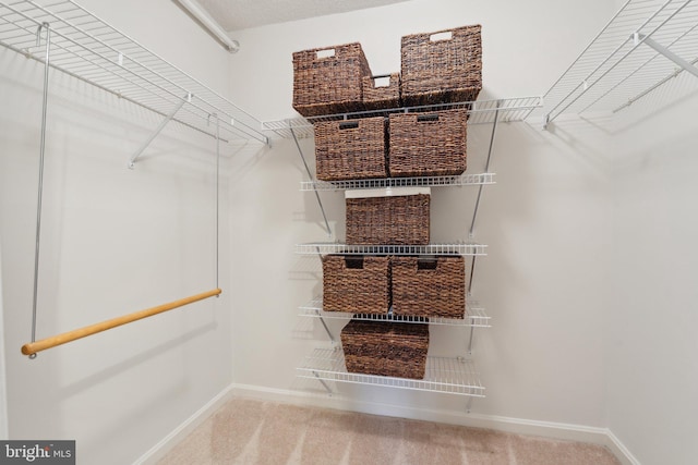 spacious closet with carpet flooring