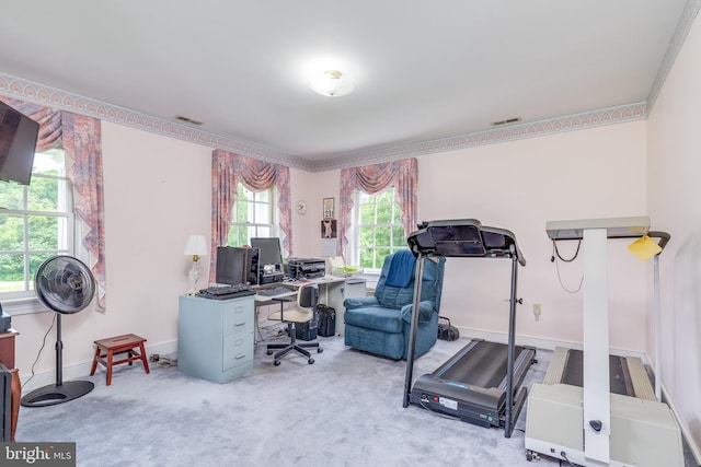 office area featuring a wealth of natural light and light carpet