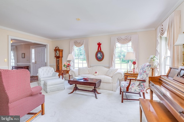 carpeted living room with crown molding