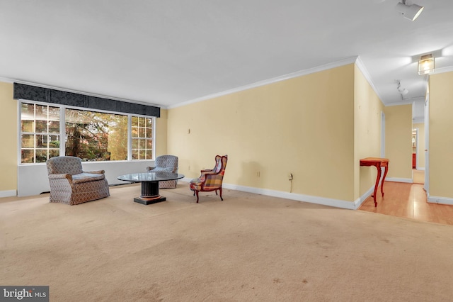 living area with crown molding and carpet