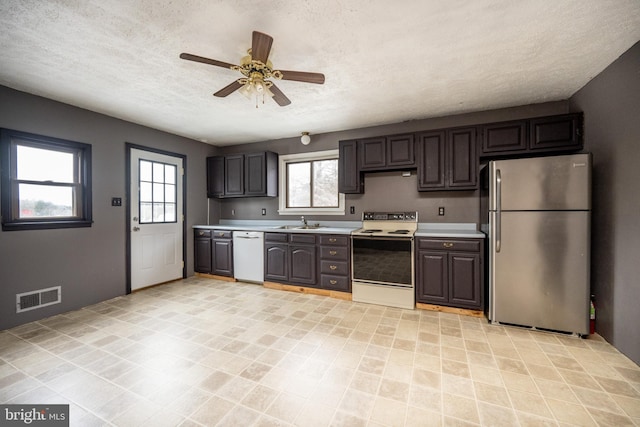 kitchen featuring ceiling fan, white appliances, a wealth of natural light, and sink