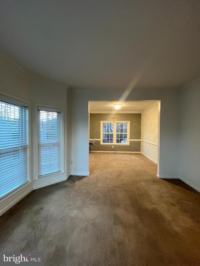 unfurnished room with carpet flooring and ornamental molding