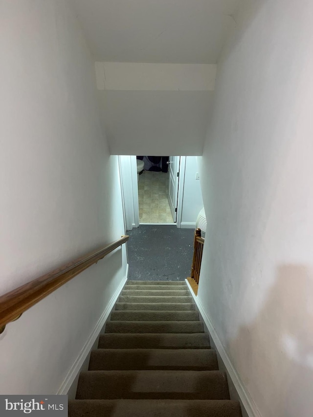 stairway with carpet