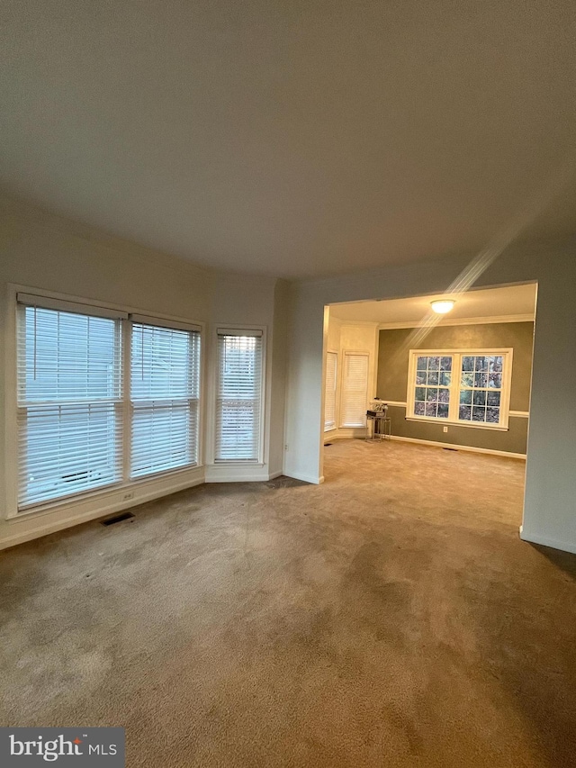 unfurnished living room with light carpet