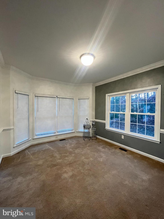 unfurnished room featuring crown molding and carpet floors