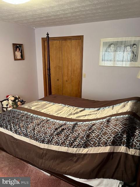 bedroom featuring carpet floors, a textured ceiling, and a closet