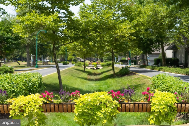 view of community with a lawn