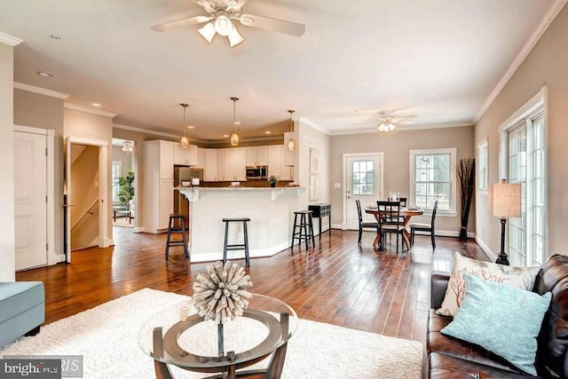 living room with ceiling fan, dark hardwood / wood-style flooring, and ornamental molding