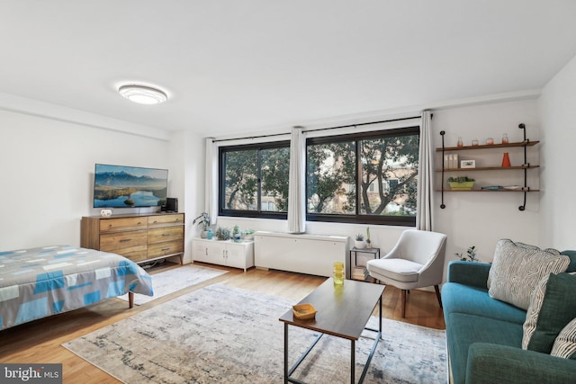 bedroom with hardwood / wood-style floors