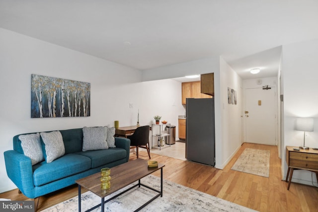 living room featuring light hardwood / wood-style flooring