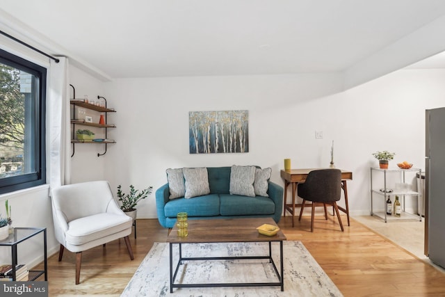 living room with hardwood / wood-style floors