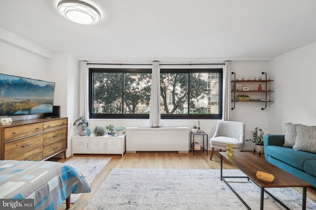 bedroom featuring light hardwood / wood-style flooring