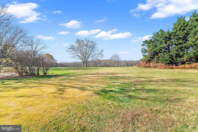 view of yard with a rural view