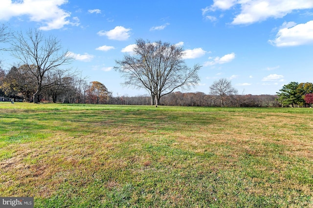 view of yard featuring a rural view