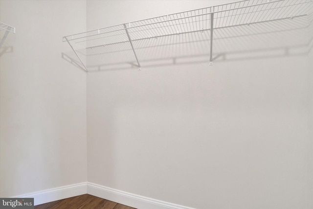 walk in closet featuring hardwood / wood-style flooring