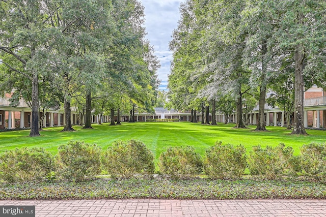 view of home's community with a yard