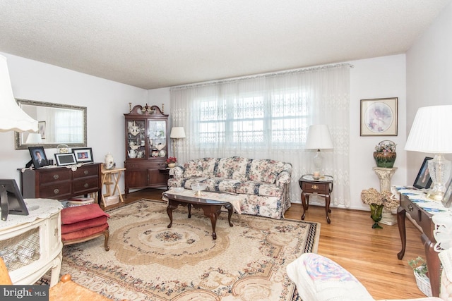 living room featuring a textured ceiling and light hardwood / wood-style floors