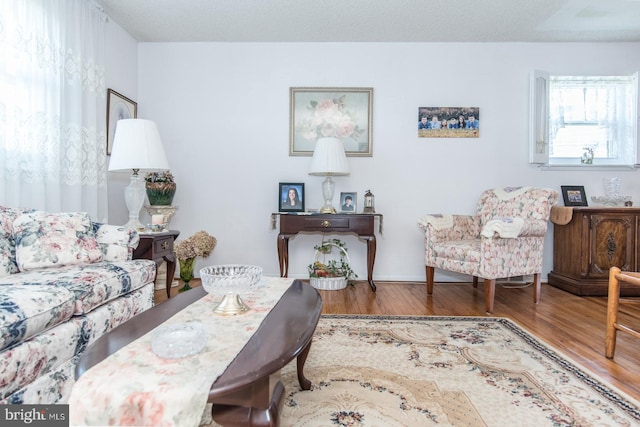 living room featuring hardwood / wood-style flooring