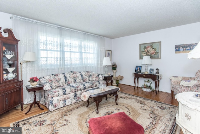 living room with a textured ceiling and hardwood / wood-style flooring