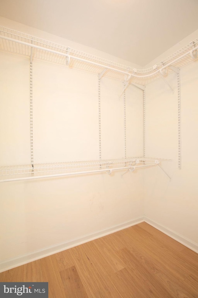 spacious closet with wood-type flooring