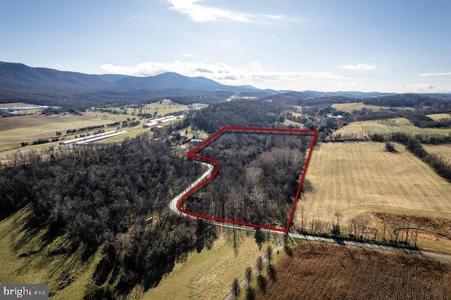 birds eye view of property with a mountain view and a rural view