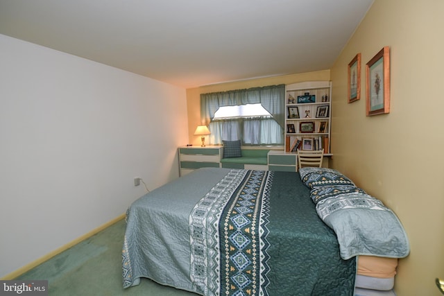 bedroom with carpet floors