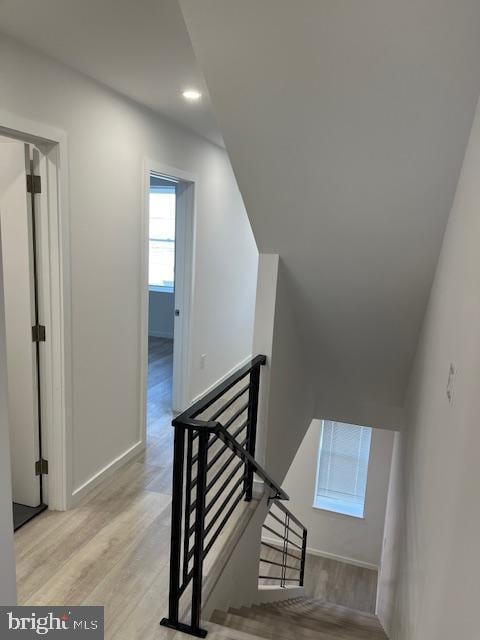 stairs with wood-type flooring