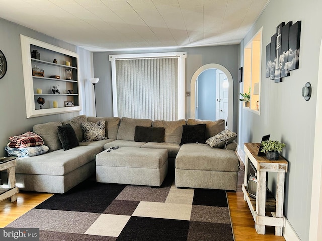 living room featuring wood-type flooring