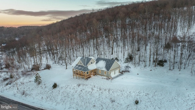 view of snowy aerial view