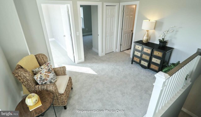 sitting room featuring carpet flooring