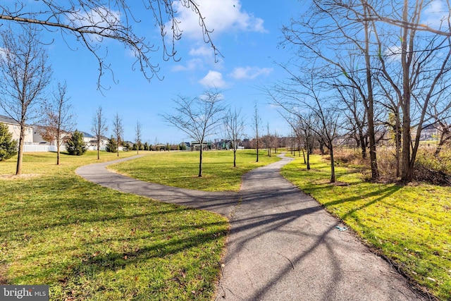 view of community featuring a yard