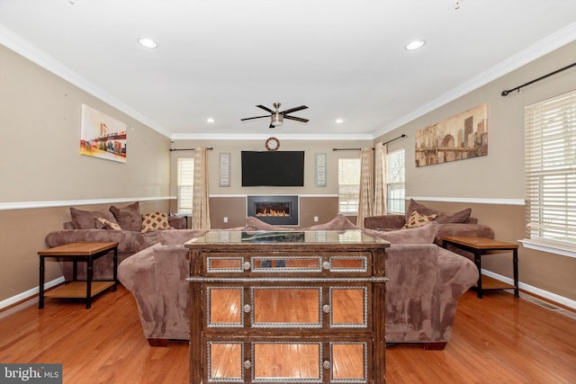 living room featuring ceiling fan, ornamental molding, and light wood-type flooring