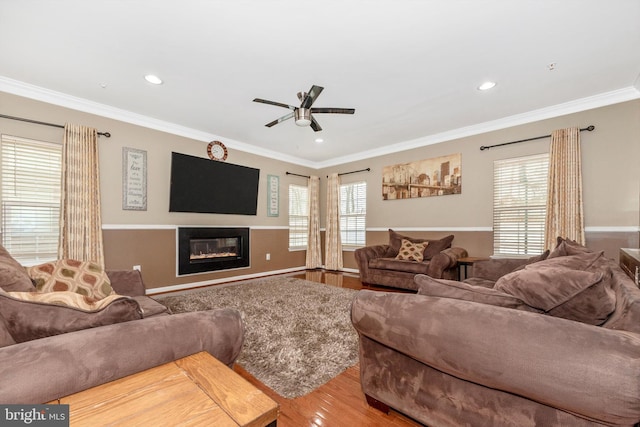 living room featuring crown molding, hardwood / wood-style floors, and ceiling fan