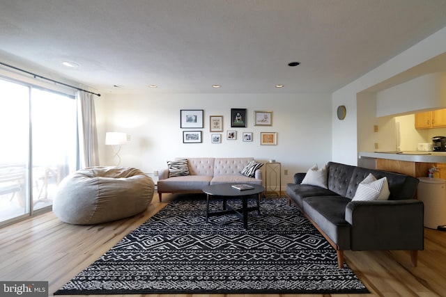 living room with light hardwood / wood-style flooring