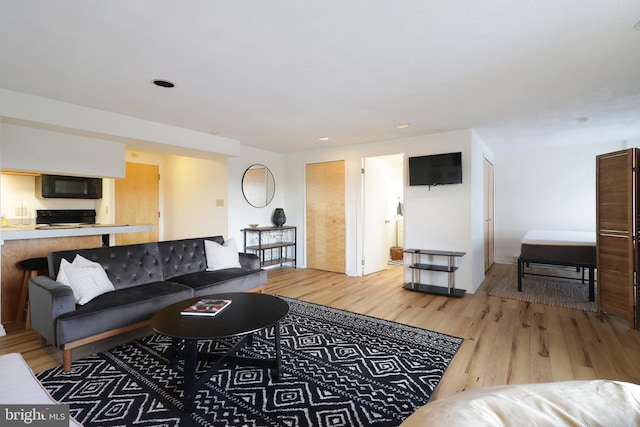 living room featuring light hardwood / wood-style floors