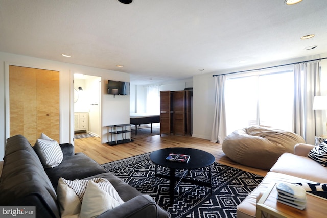 living room featuring light hardwood / wood-style floors