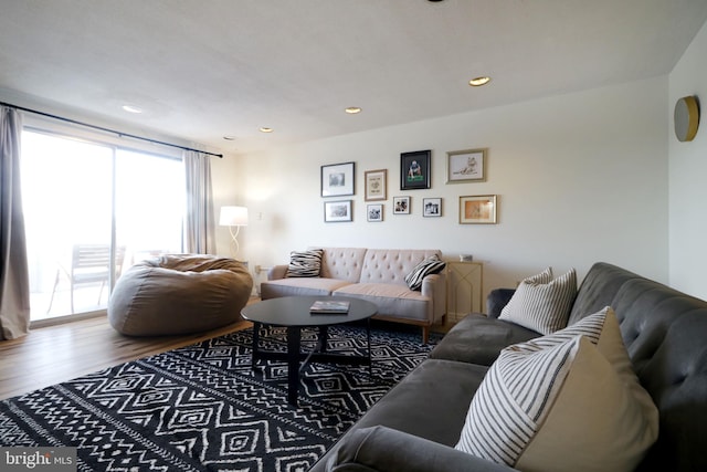 living room with hardwood / wood-style floors