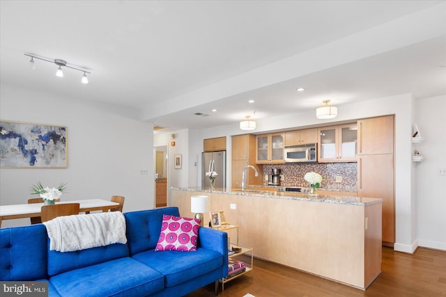 living room with sink and dark wood-type flooring