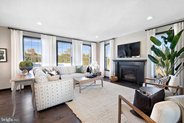 living room featuring dark wood-type flooring