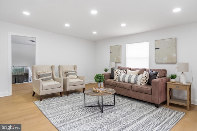 living room featuring hardwood / wood-style flooring