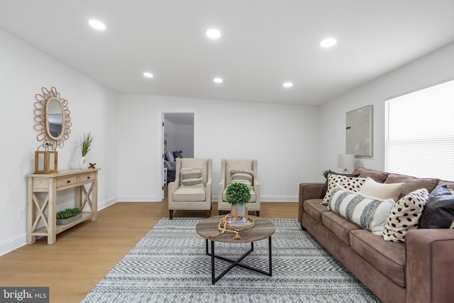 living room featuring light wood-type flooring