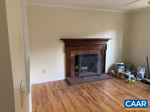 room details featuring hardwood / wood-style floors, a fireplace, and ornamental molding