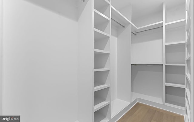 walk in closet with wood-type flooring