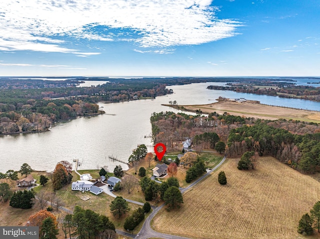 bird's eye view with a water view