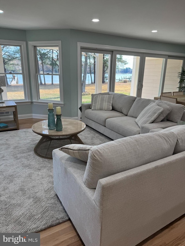 living room featuring hardwood / wood-style floors and plenty of natural light