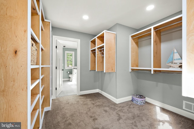 spacious closet featuring carpet