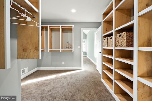 walk in closet with carpet