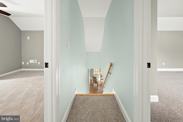 stairs with ceiling fan, carpet, and vaulted ceiling